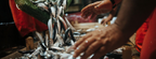 Scalia anchovies in olive oil, 700 g