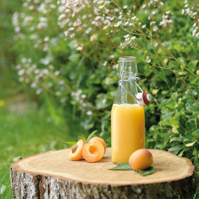 Glasflaska med patentkork