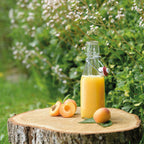 Glasflaska med patentkork