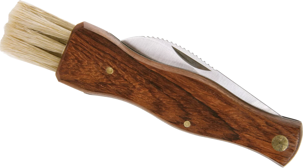 Redecker mushroom folding knife