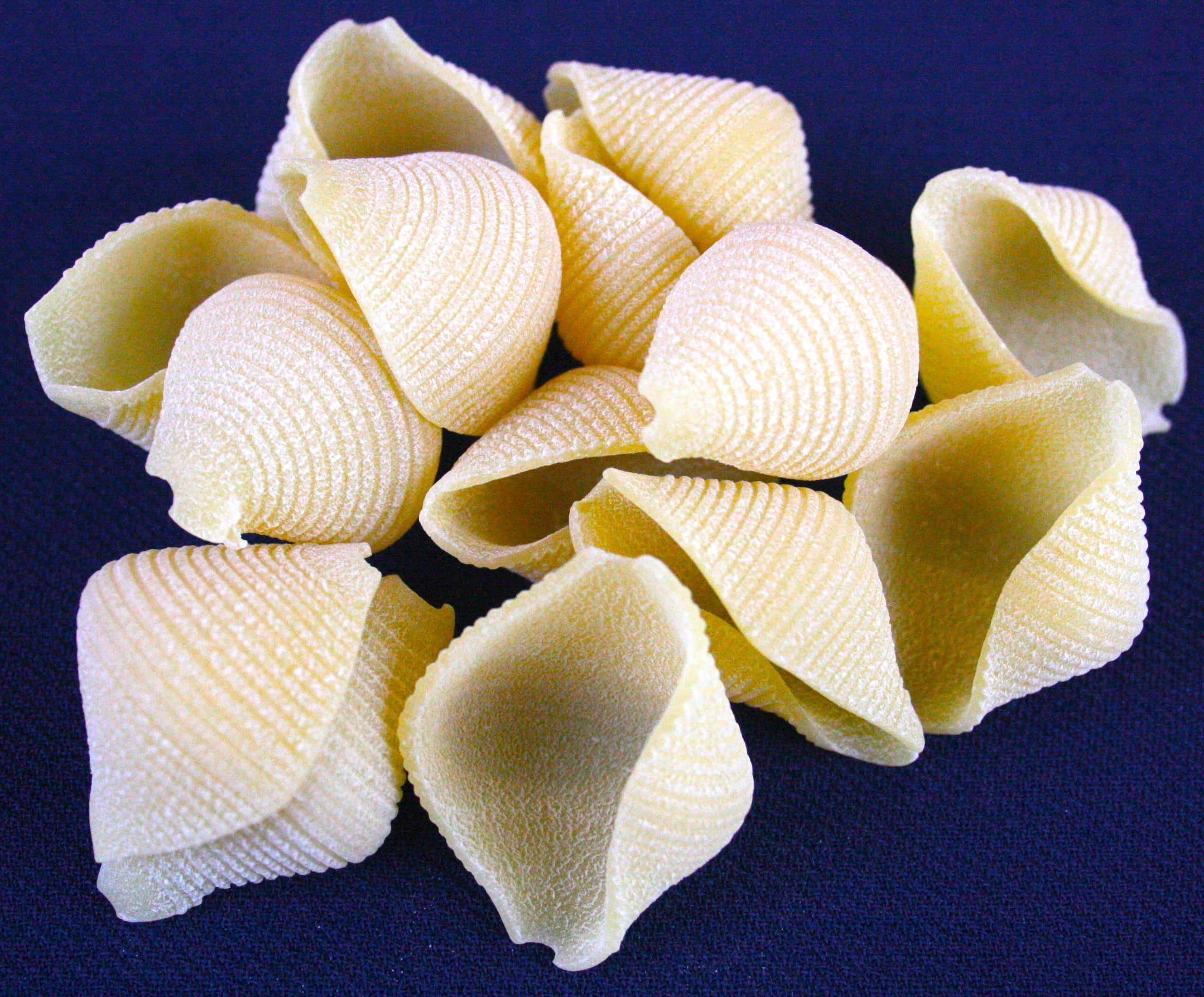 Setaro conchiglie 500 g