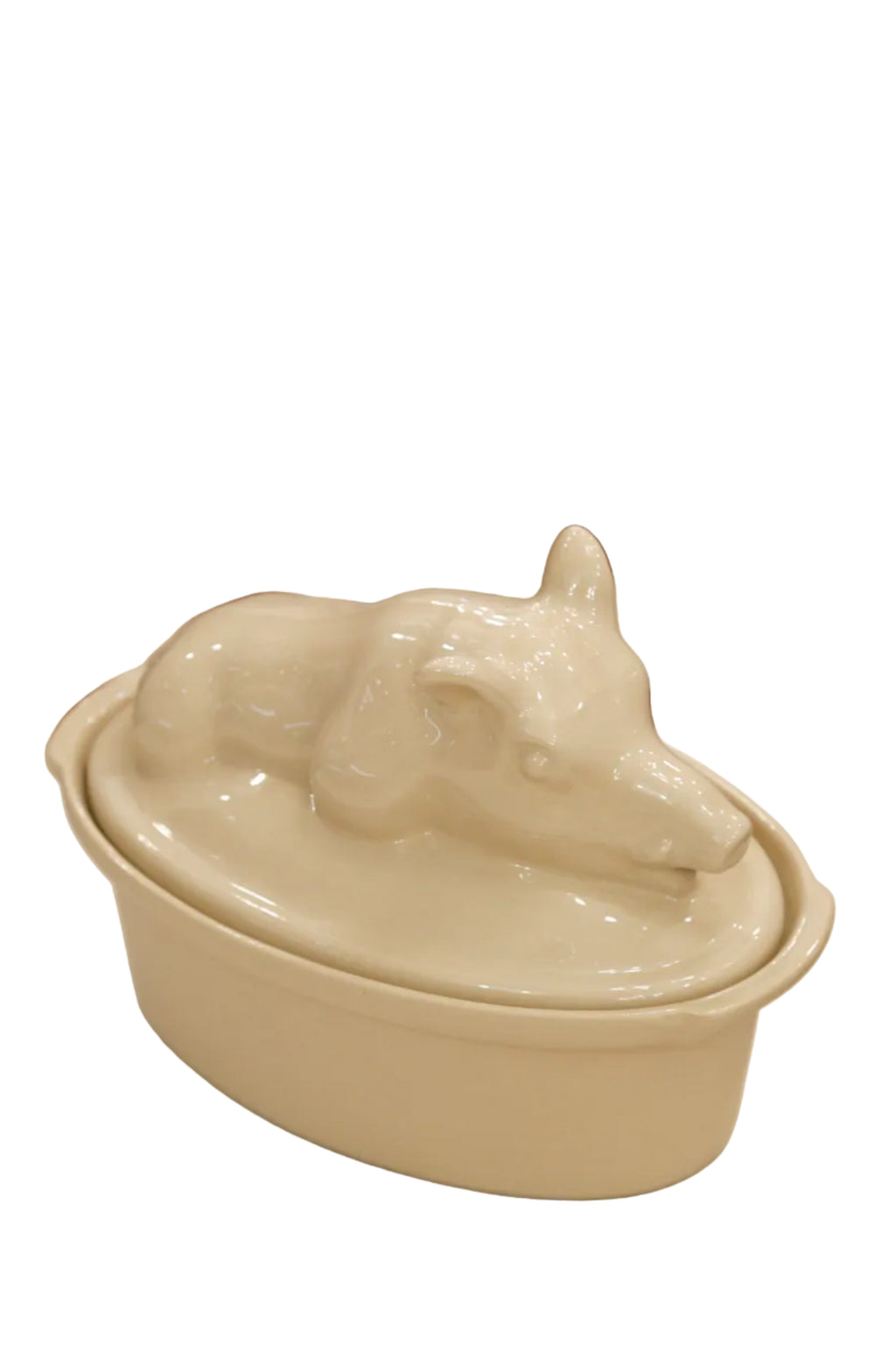 Digoin terriinivuoka, villisika