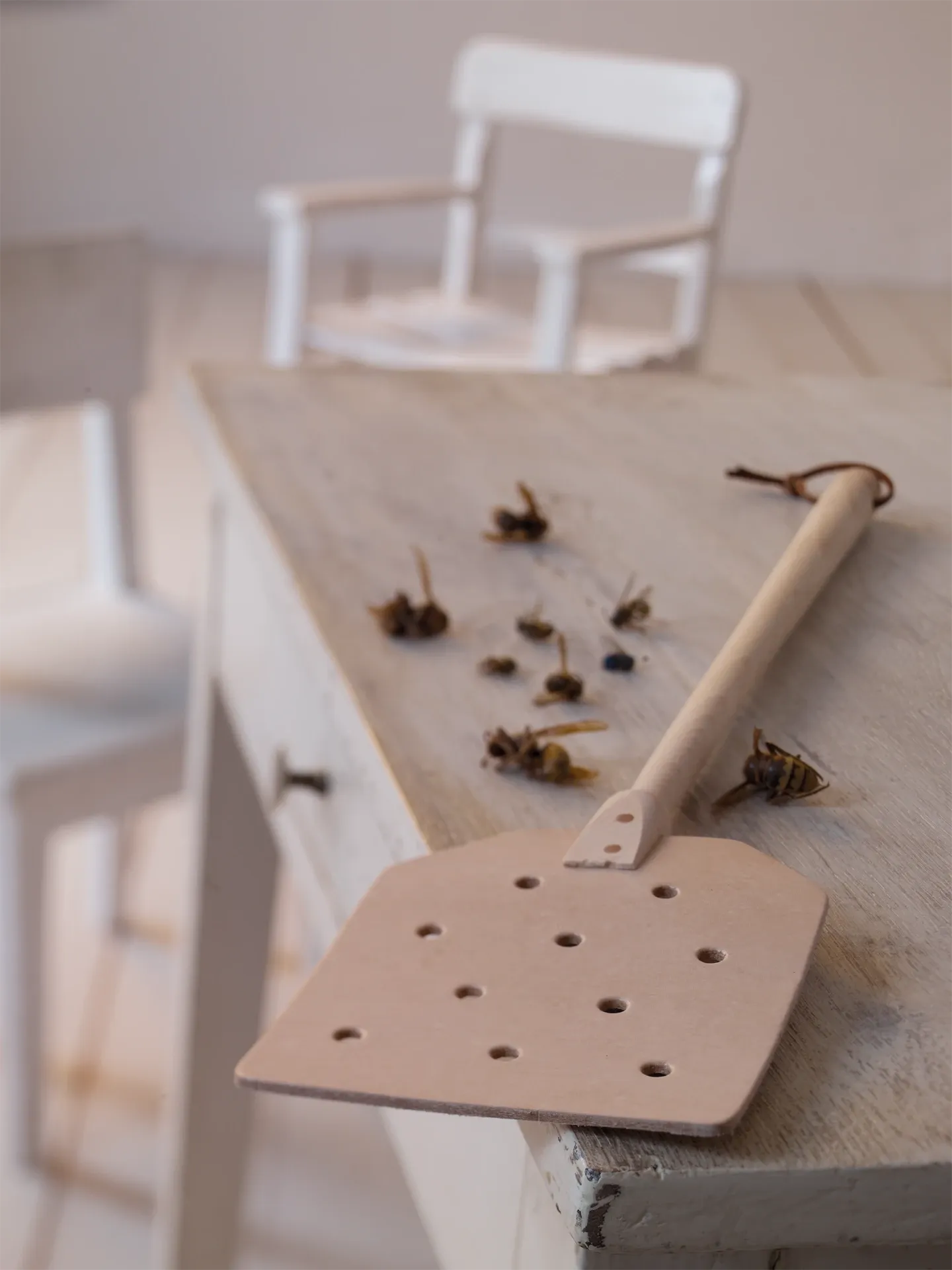 Redecker flugsmälla, läder