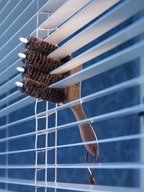 Redecker venetian-blind brush