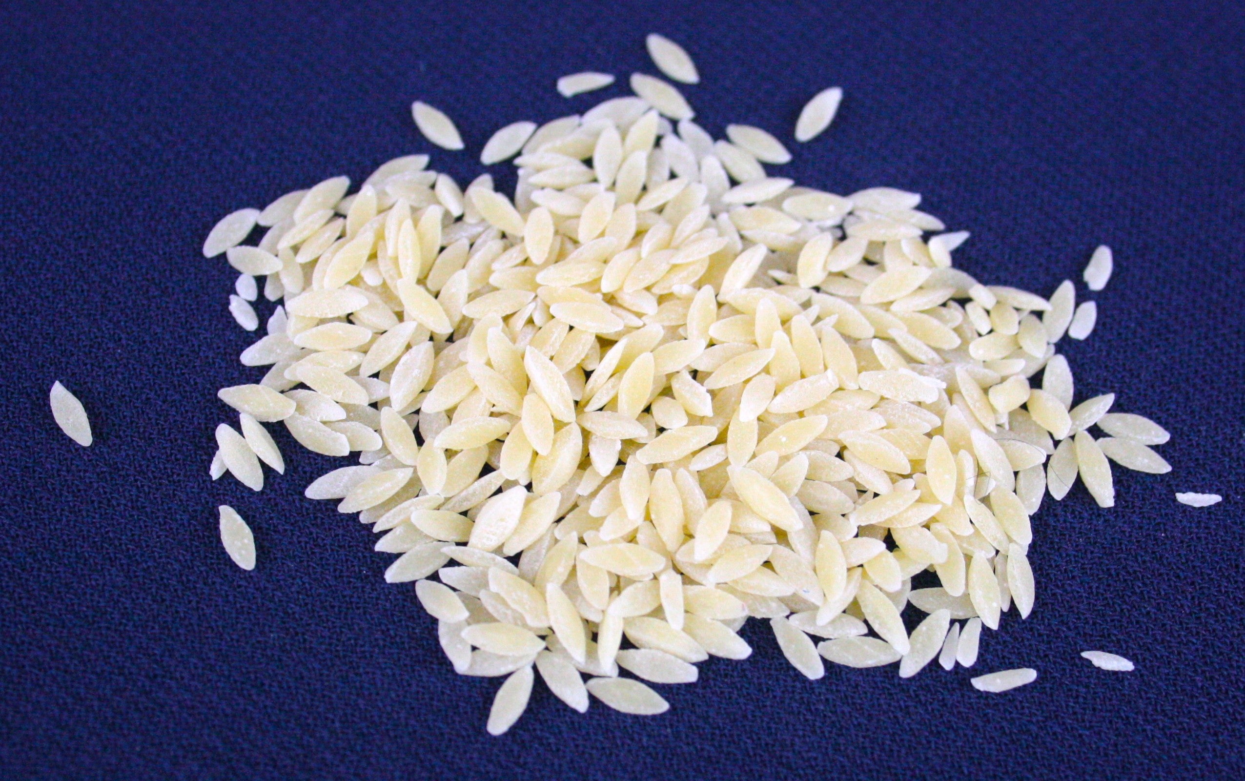 Setaro semi cicoria 1 kg