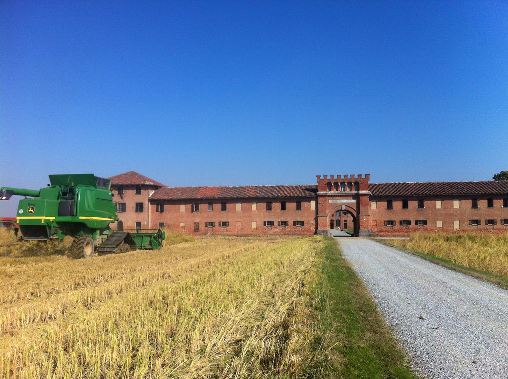 Acquerello Carnaroli riisi