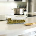 Pebbly rectangular glass container